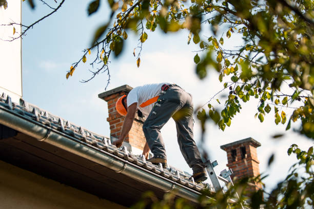 Best Local Roofing Companies  in Shattuck, OK