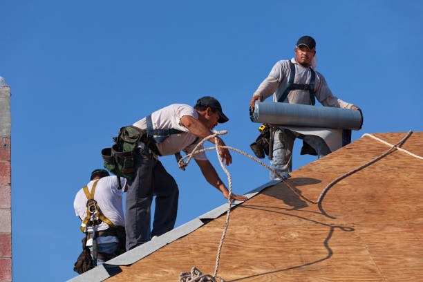 Best Roof Maintenance Services  in Shattuck, OK