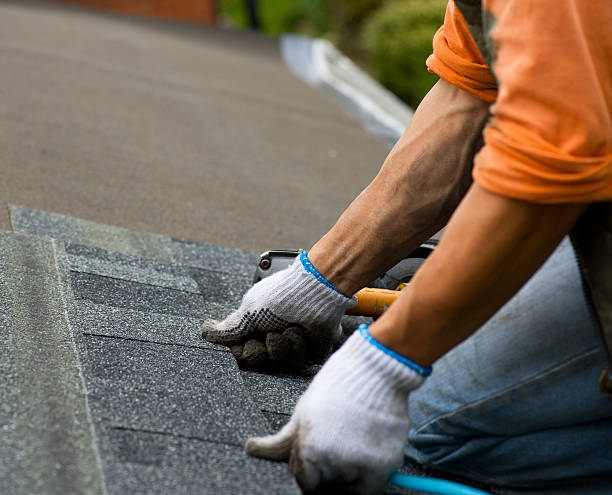 Best Roof Repair Services  in Shattuck, OK