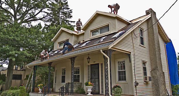 Best Roof Maintenance Services  in Shattuck, OK