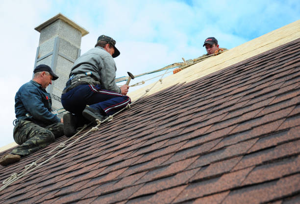 Best Sealant for Roof  in Shattuck, OK