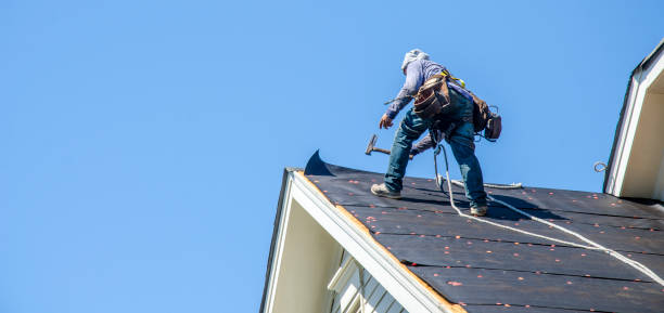 Best Sealant for Roof  in Shattuck, OK